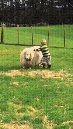 gifs_14