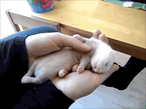 gifs_07
